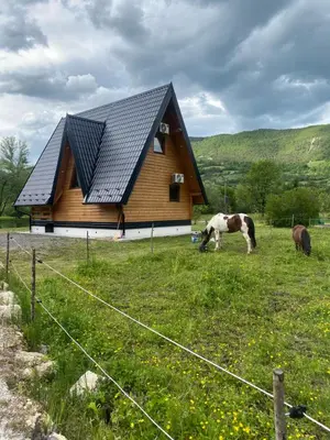 two horses grazing in a field in front of a house at Bungalow Jajce 1 in Jezero