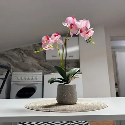 Apartment Star