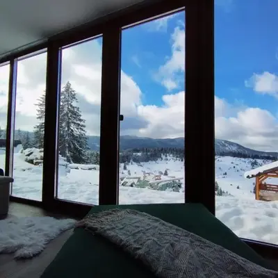 Pine Apartment