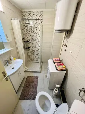 a bathroom with a shower and a toilet and a sink at Apartman Buric