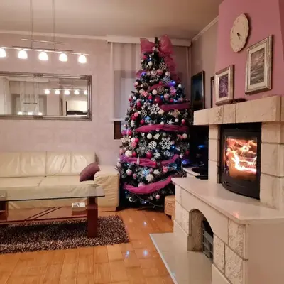 Apartmani Lana