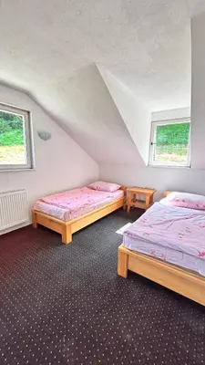 a attic room with two beds and two windows at Apartman Torlakovac in Donji Vakuf