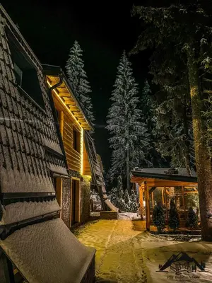 a house at night with snow on the trees at Vila Bašić Vlašić Apartman VUK in Vlasic