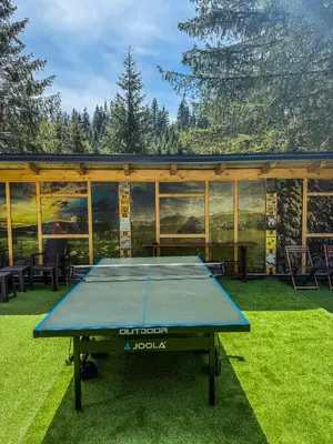 a ping pong table in front of a house at Vila Bašić Vlašić Apartman MEDO in Vlasic